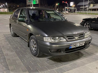 Nissan Primera foto 3