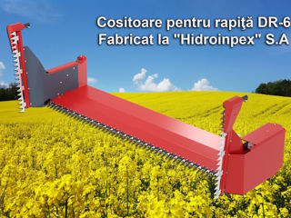 Cositoare pentru rapiţă DR-6. Рапсовый стол. foto 2