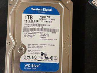 Hdd 1000gb