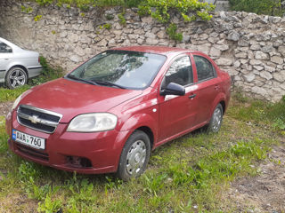 Chevrolet Aveo фото 3