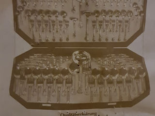 Tacîmuri placate cu aur,produse in Germania foto 4