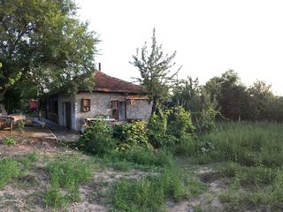 Casuta pe malul Nistrului.