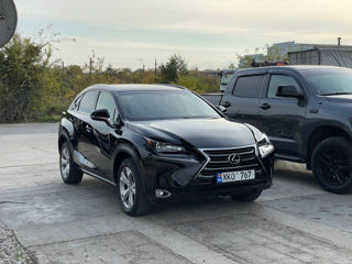 Lexus NX Series