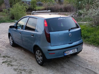 Fiat Punto foto 5