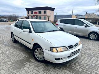 Nissan Primera