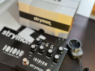 Strymon Iridium Amp and IR Cab Simulator Pedal foto 6