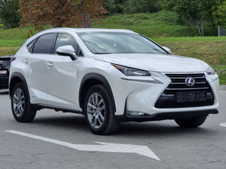 Lexus NX Series