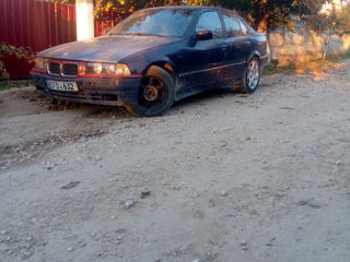 BMW 3 Series foto 6