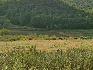 Vindem 1,38 Ha Teren + Casa de Vacanta, Rezervatia Codrilor Raionul Hancesti foto 19