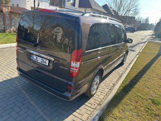 Mercedes Viano foto 6