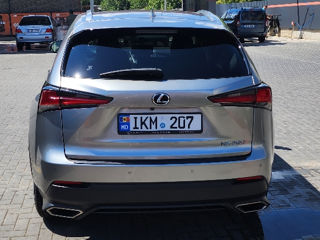 Lexus NX Series foto 3