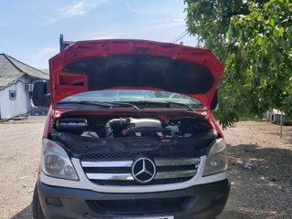 Mercedes Sprinter 313 foto 3