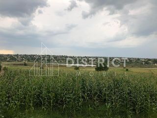 2 terenuri, de construcție și agricol, Ialoveni, Răzeni foto 4