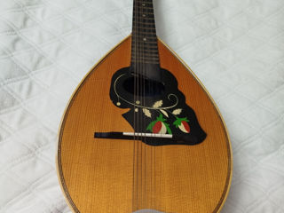 Mandolin