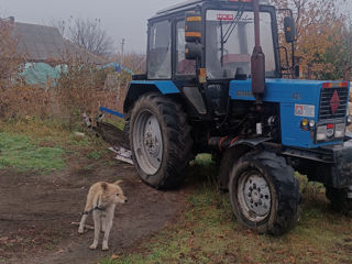 Cosilca, plug și discuri cu trei rânduri este mai mare. foto 4