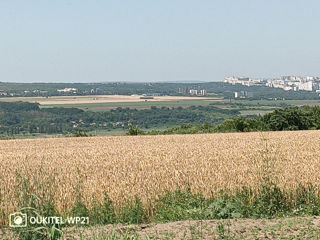 Vînd 50 ari,teren agricol comuna Bubuieci foto 2