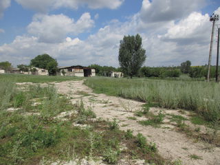 Территория бывшего зернотока. foto 2