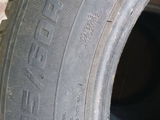 4 cauciucuri de iarna Diplomat  205/60R16 foto 2