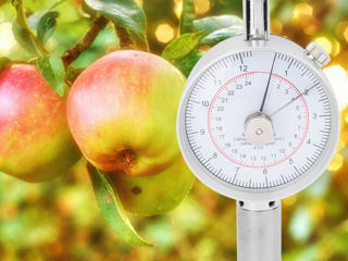 Penetrometru pentru fructe - Analiza durității și al gradului de coacere