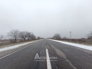 Teren agricol 30 ari! Traseul M5, Drăsliceni! foto 1