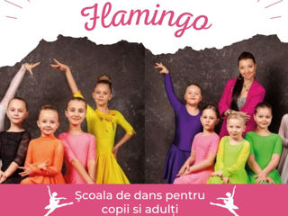 Индивидуальные уроки для взрослых- любой стиль. Lectiile particulare de dans pentru adulti. Flamingo foto 5