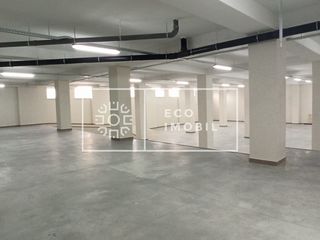 Сhirie, Ialoveni, spaţiu industrial, 1200 m.p. 3600€ foto 2