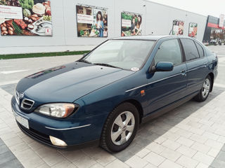 Nissan Primera foto 4