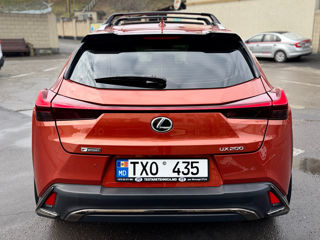 Lexus UX foto 5