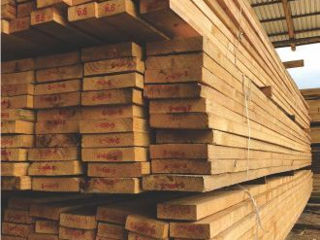 Cherestea, lemn de toate dimensiunile. foto 2