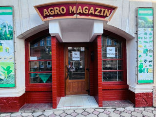 Se vinde Magazin (imobil comercial) în centrul orașului Soroca! foto 0