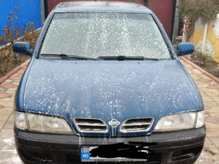 Nissan Primera foto 7