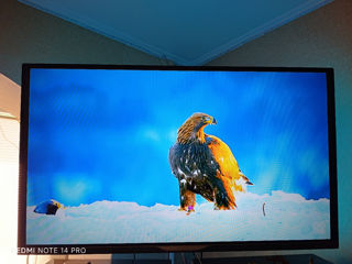 Philips Smart tv 43, foto 0