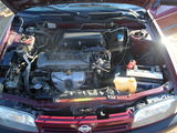 Nissan Primera foto 2