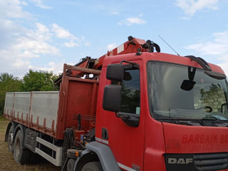 Daf foto 8