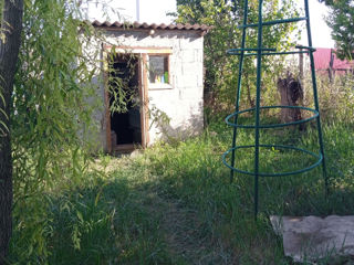 Продаётся дом в деревне Куболта foto 7