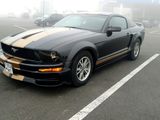 Ford Mustang foto 3