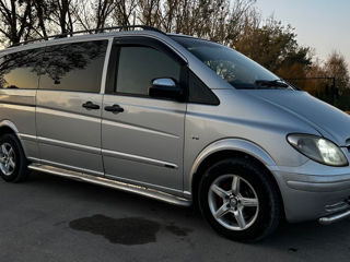 Mercedes Viano foto 8