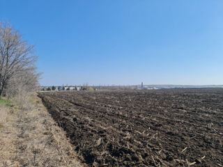 Oportunitate de Investiție: Teren Agricol de 70 de Ari în Singere, Mun. Chișinău foto 7