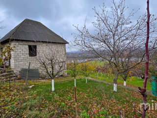 IP Ivancea, Orhei, Chișinău foto 18