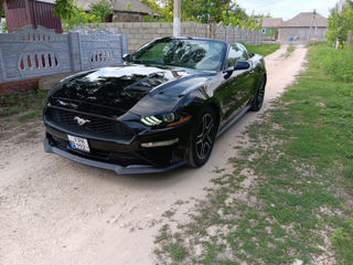 Ford Mustang foto 8