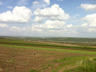 Cumpăr teren agricol în Soltănești foto 1