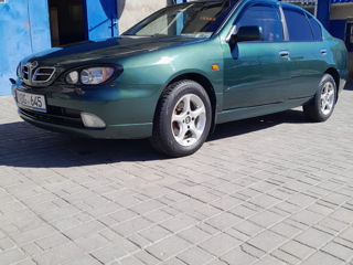 Nissan Primera foto 3