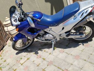 Aprilia Pegaso 650 foto 2