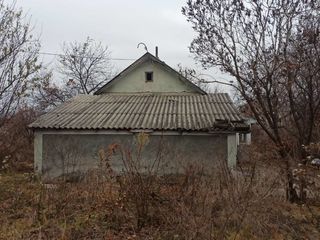 Старый дом в Крикова на боьшом участке 1484 м2. foto 5