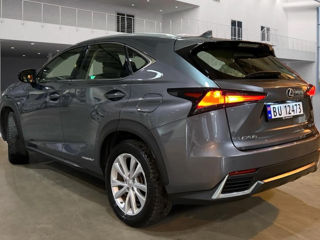 Lexus NX Series foto 4