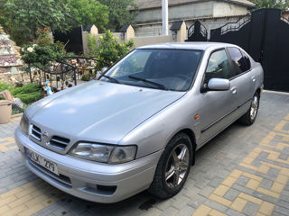 Nissan Primera foto 12