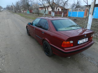 BMW 3 Series foto 5