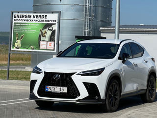 Lexus NX Series foto 9