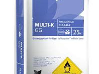 Multi-K GG / Nitrat De Potasiu / Haifa Chemicals Ltd. foto 1