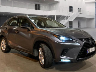 Lexus NX Series